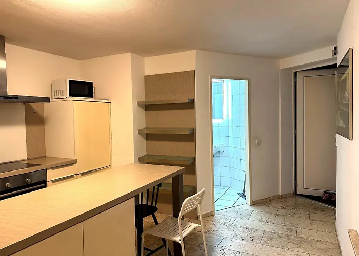 Volksgarten Düsseldorf